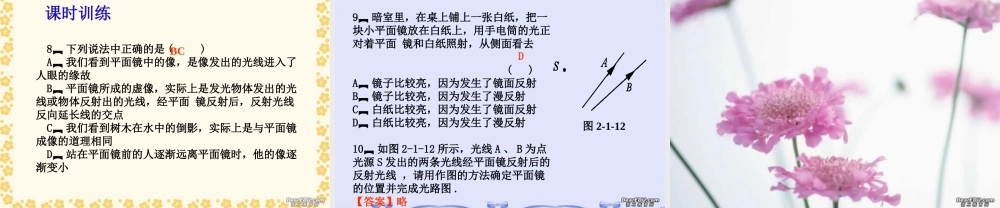 中考物理专题复习第二章 光学一 新课标 人教版 试题