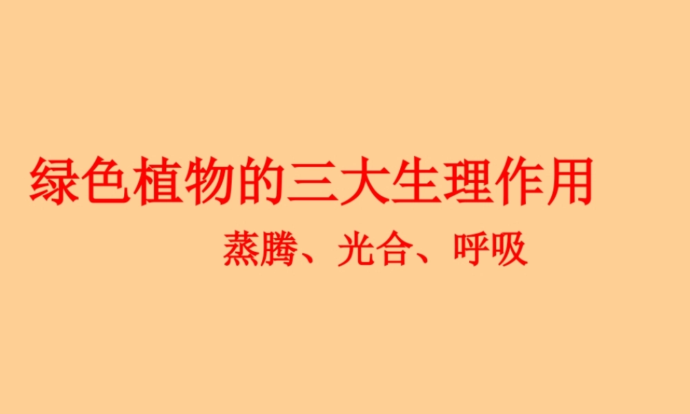 中考生物 植物三大生理活动课件人教新课标版 课件