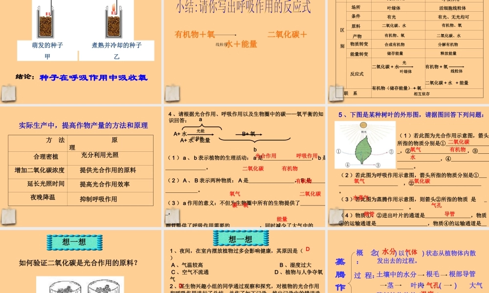 中考生物 植物三大生理活动课件人教新课标版 课件
