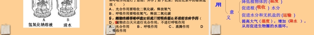 中考生物 植物三大生理活动课件人教新课标版 课件