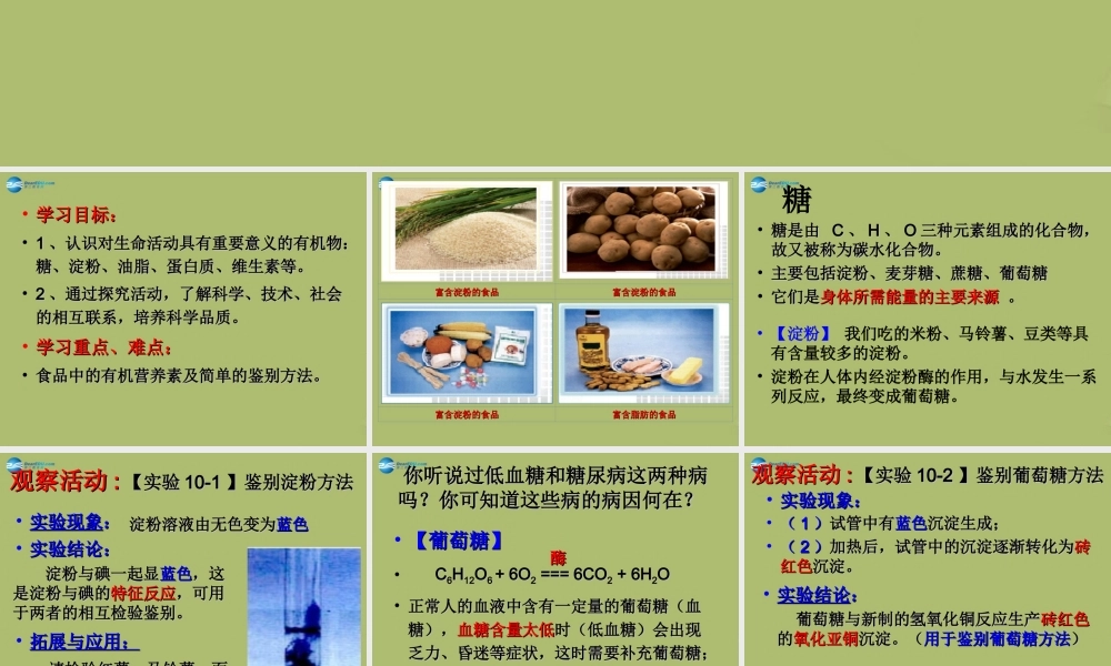 九年级化学下册 101 食品中的有机营养素课件2 粤教版 课件