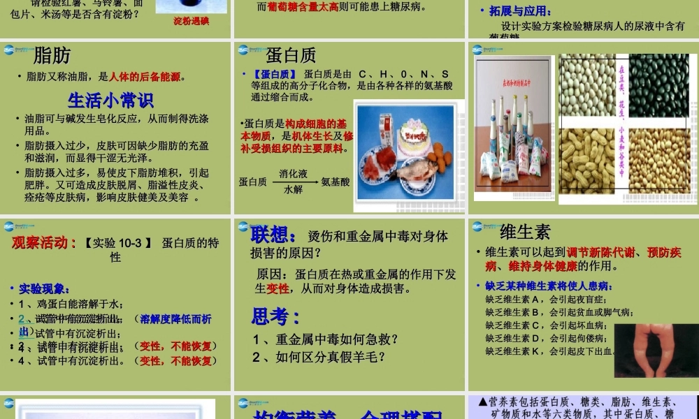 九年级化学下册 101 食品中的有机营养素课件2 粤教版 课件