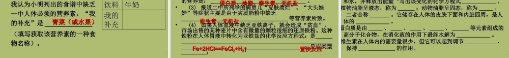 九年级化学下册 101 食品中的有机营养素课件2 粤教版 课件