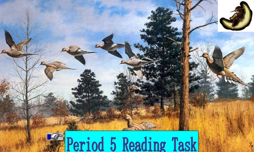 M2 Unit4 reading taskP5 高一英语Unit4全单元课件[整理五个]新课标 人教版