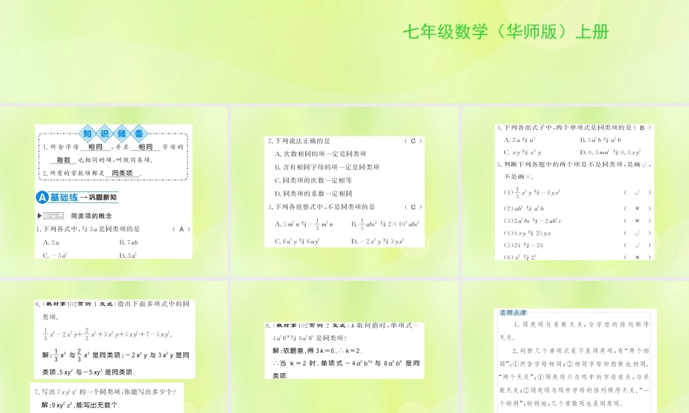 七年级数学上册 第3章 整式的加减 3.4 整式的加减 第1课时 同类项习题课件 (新版)华东师大版 课件
