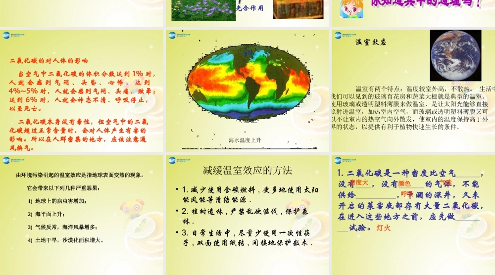 九年级化学上册 二氧化碳的化学性质(第1课时)课件 新人教版 课件