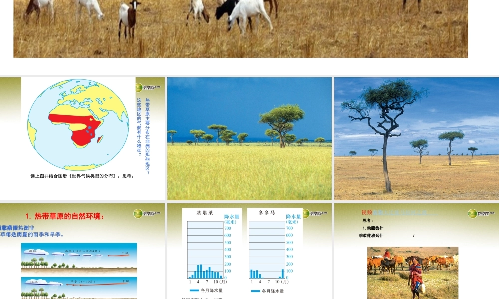 七年级历史与社会上册 第三单元 第四课第一框 逐水草而居2课件 人教版 课件