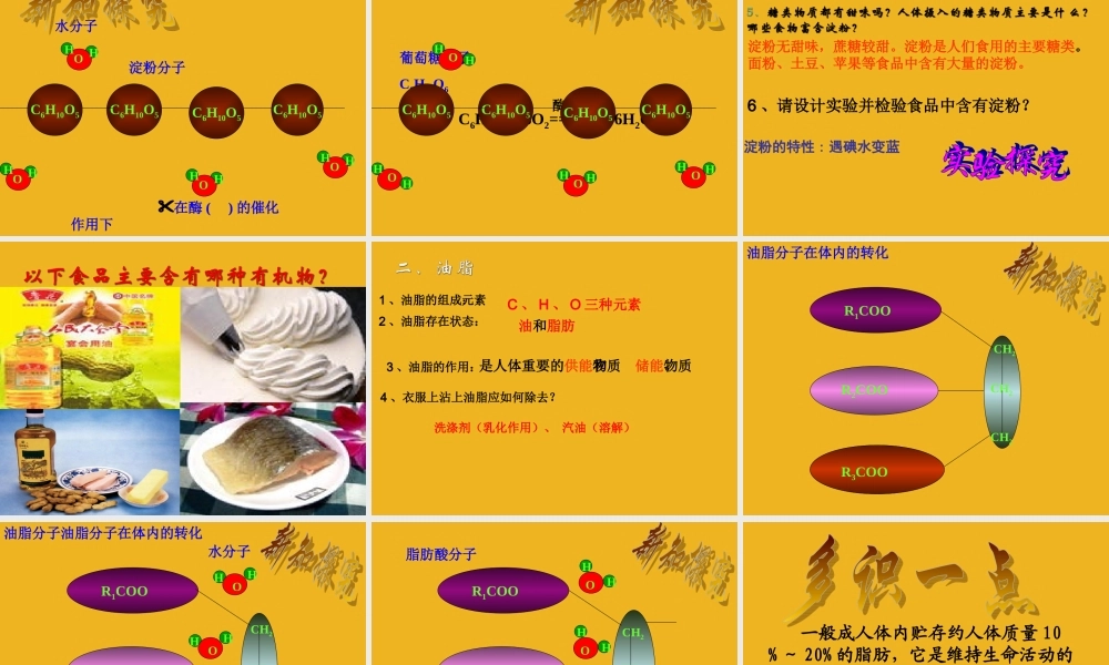 九年级化学 第八单元 第一节食物中的有机物课件 鲁教版 课件
