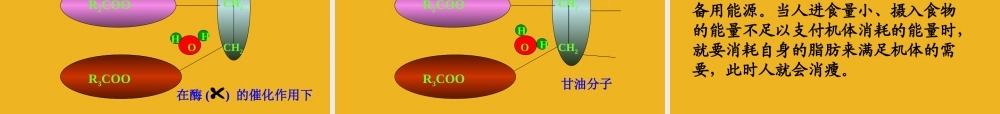 九年级化学 第八单元 第一节食物中的有机物课件 鲁教版 课件