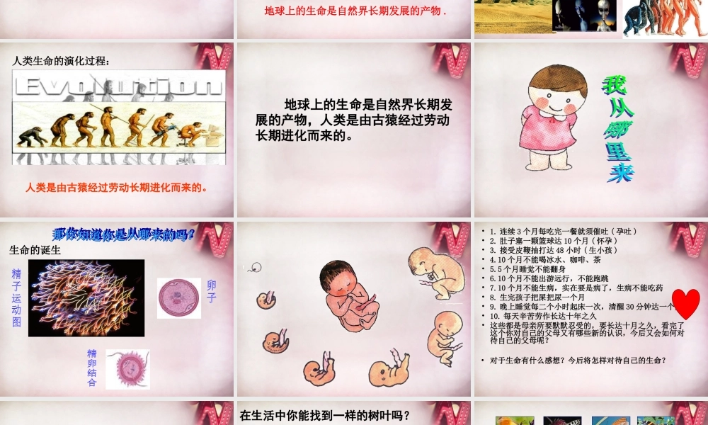 七年级政治下册 第四单元 第14课 第1框 人类生命的独特性课件 苏教版 课件