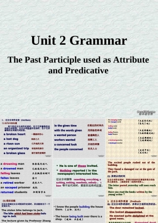 grammar 高二英语上学期Unit 2课件[整理二套]人教版 高二英语上学期Unit 2课件[整理二套]人教版