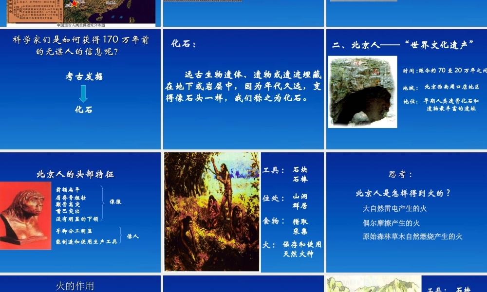 七年级历史上册 1.1(祖国境内的早期人类)课件 冀教版 课件