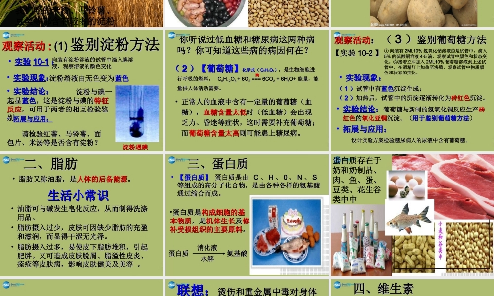 九年级化学下册 101 食品中的有机营养素课件3 粤教版 课件