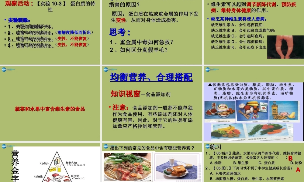 九年级化学下册 101 食品中的有机营养素课件3 粤教版 课件