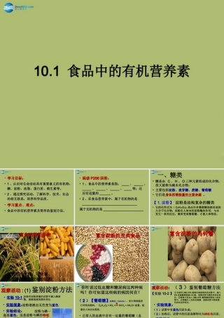 九年级化学下册 101 食品中的有机营养素课件3 粤教版 课件
