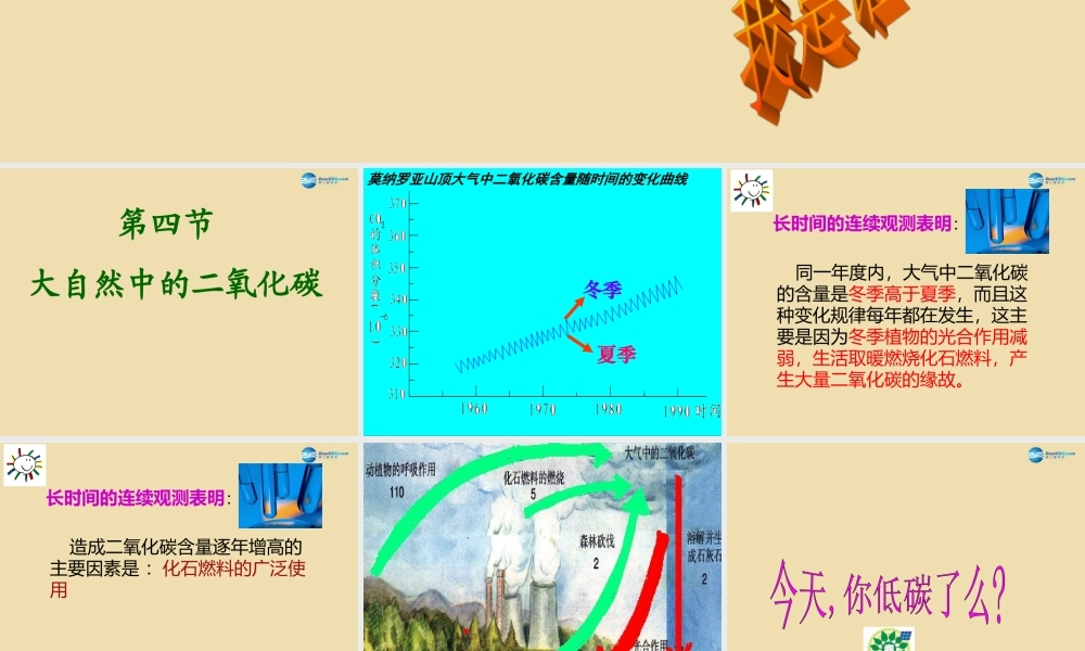 九年级化学全册 第四节 大自然中的二氧化碳课件 鲁教版 课件
