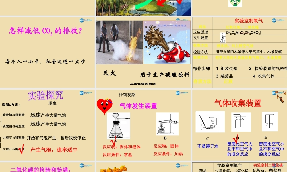 九年级化学全册 第四节 大自然中的二氧化碳课件 鲁教版 课件