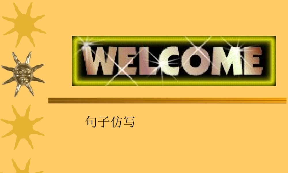 中考语文专题复习 仿写句子课件