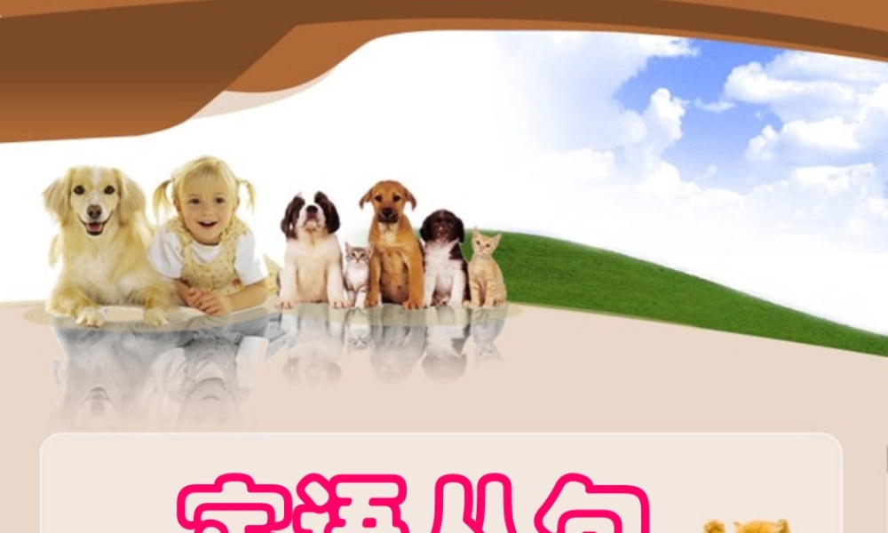 中考英语专项复习 定语从句 课件 冀教版 课件