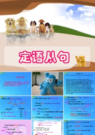 中考英语专项复习 定语从句 课件 冀教版 课件