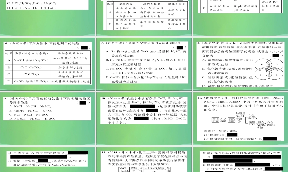 九年级化学上册 专题5 物质的检验、分离和提纯课件 (新版)新人教版 课件