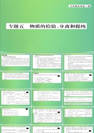 九年级化学上册 专题5 物质的检验、分离和提纯课件 (新版)新人教版 课件