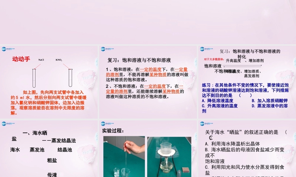 九年级化学下册 82(海水 晒盐 )参考课件 (新版)鲁教版 课件