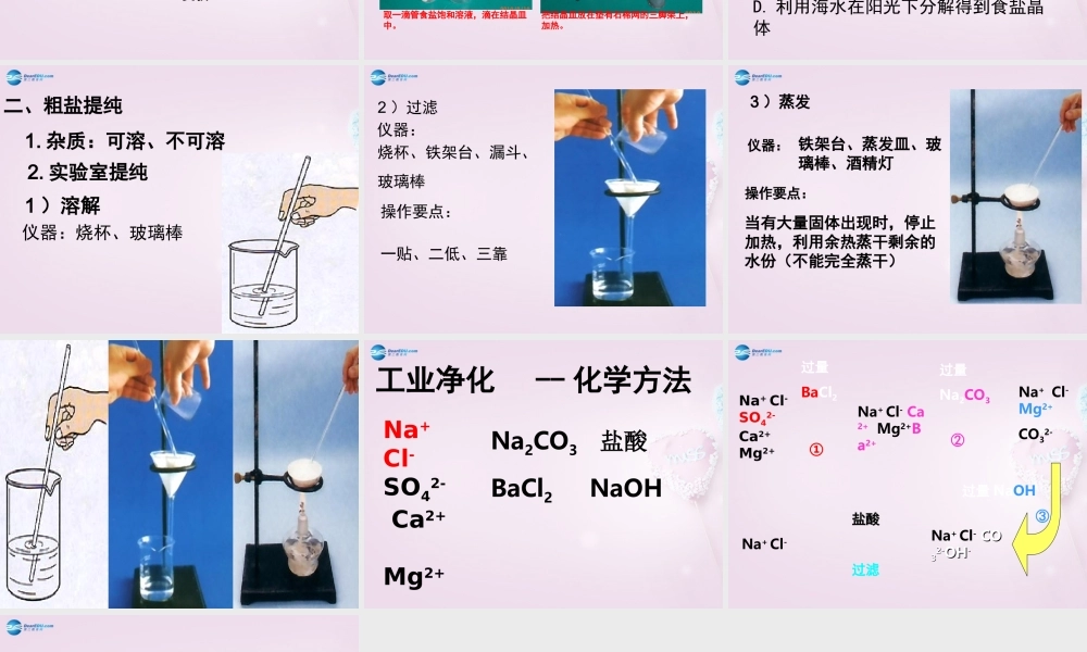 九年级化学下册 82(海水 晒盐 )参考课件 (新版)鲁教版 课件