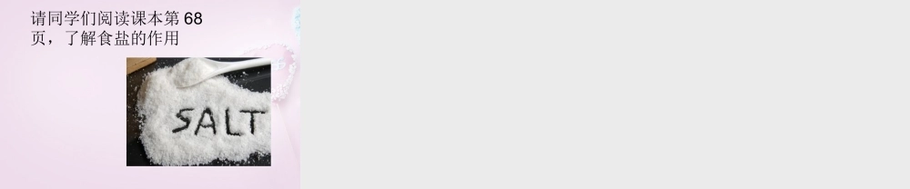 九年级化学下册 82(海水 晒盐 )参考课件 (新版)鲁教版 课件