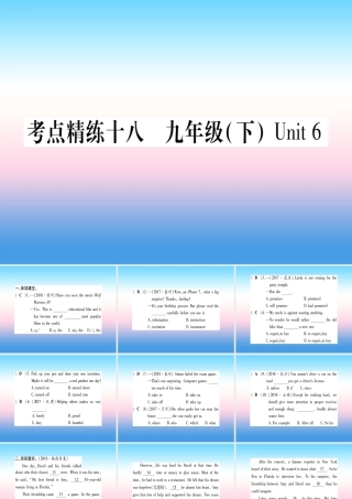 中考英语准点备考 第一部分 教材系统复习 考点精练十八 九下 Unit 6课件