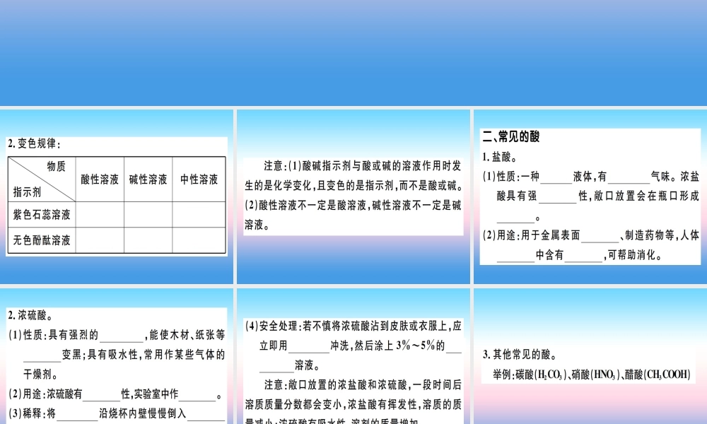 九年级化学下册 第十单元 酸和碱 第1课时 酸碱指示剂 常见的酸习题课件 (新版)新人教版 课件