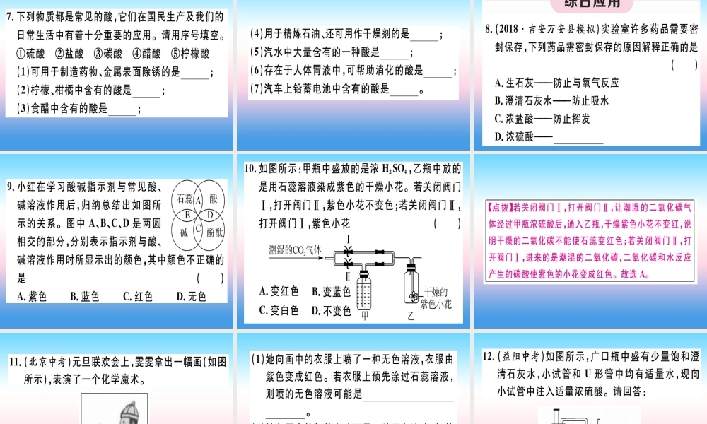 九年级化学下册 第十单元 酸和碱 第1课时 酸碱指示剂 常见的酸习题课件 (新版)新人教版 课件