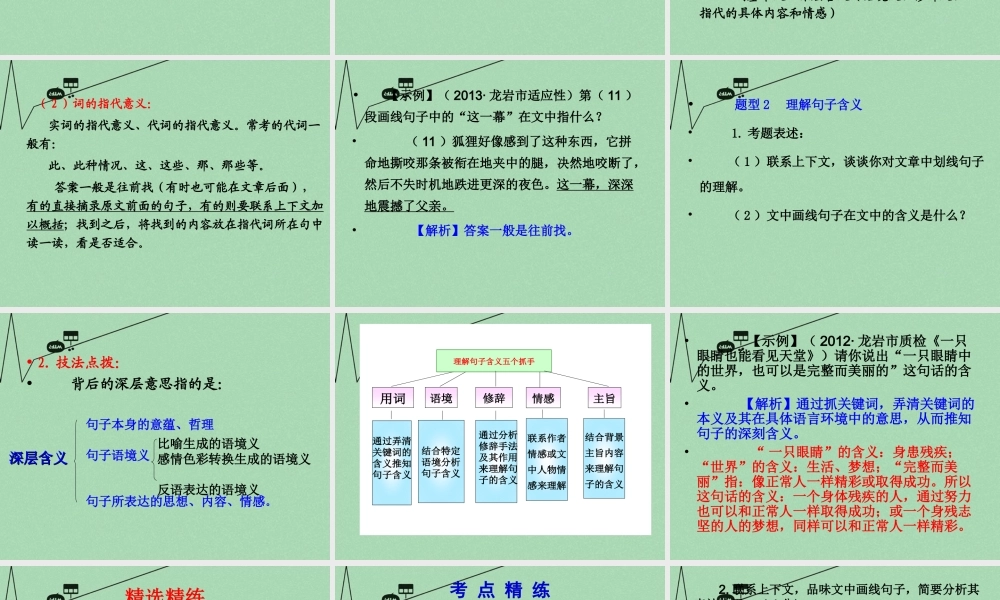 中考语文 考点技法点拨 记叙文与文学作品阅读 第2 3课时课件