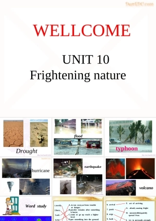 Unit10 Frightening nature reading 人教版 课件
