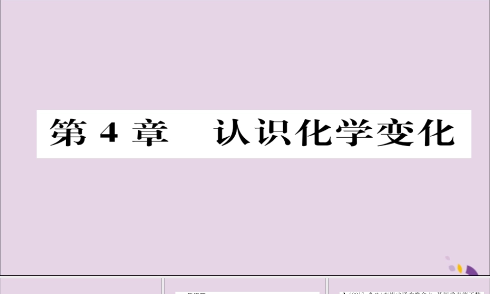 (遵义专版)中考化学总复习 第1编 教材知识梳理篇 第4章 认识化学变化 课时1 常见的化学反应—燃烧(精练)课件