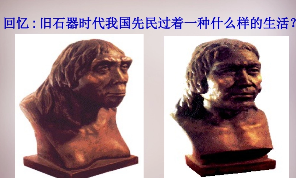 七年级历史与社会下册 第八单元 第1课 第2框(走访原始的农业聚落)课件1 人教版 课件