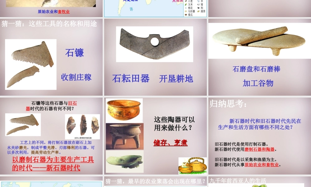 七年级历史与社会下册 第八单元 第1课 第2框(走访原始的农业聚落)课件1 人教版 课件