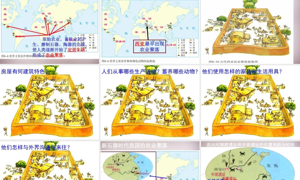 七年级历史与社会下册 第八单元 第1课 第2框(走访原始的农业聚落)课件1 人教版 课件