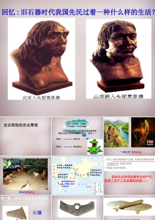 七年级历史与社会下册 第八单元 第1课 第2框(走访原始的农业聚落)课件1 人教版 课件