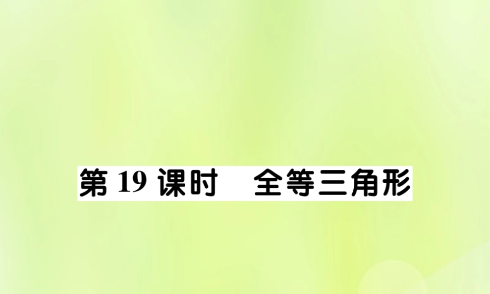 中考数学总复习 第一部分 考点梳理 第四章 图形的性质 第19课时 全等三角形课件