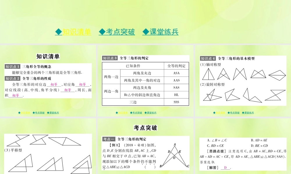 中考数学总复习 第一部分 考点梳理 第四章 图形的性质 第19课时 全等三角形课件