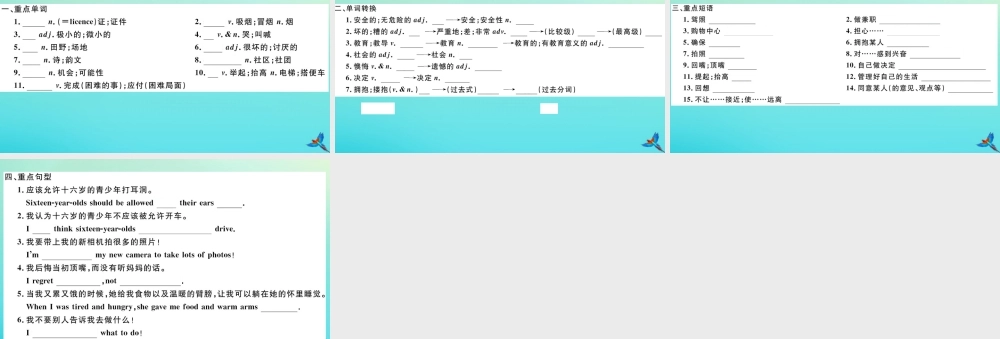 (河南专版)九年级英语全册 Unit 7 Teenagers should be allowed to choose their own clothes Section A习题课件 (新版)人教新目标版 课件