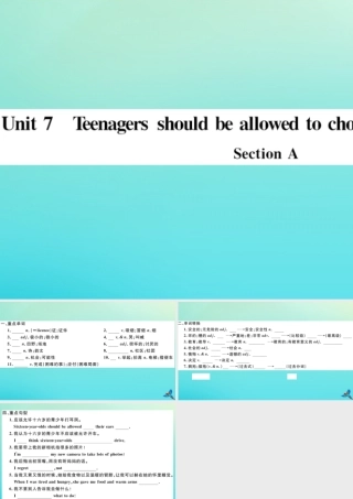 (河南专版)九年级英语全册 Unit 7 Teenagers should be allowed to choose their own clothes Section A习题课件 (新版)人教新目标版 课件