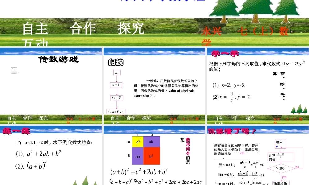 4.3代数式的值 浙江省初一数学(上)全部课件整理 浙教版