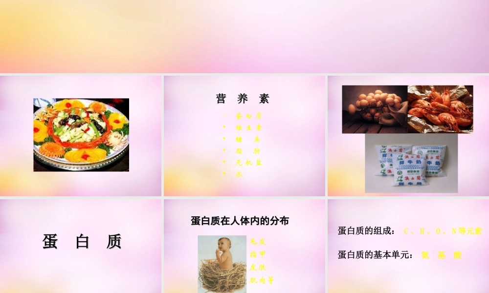 九年级化学下册 第十二单元 课题1 人类重要的营养物质课件 新人教版 课件