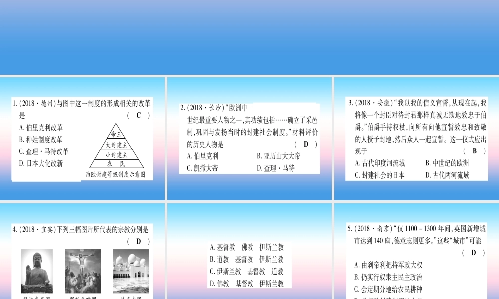 (云南专用)中考历史总复习 第一篇 考点系统复习 板块4 世界古、近代史 主题二 中古时期的欧洲与亚洲(精练)课件