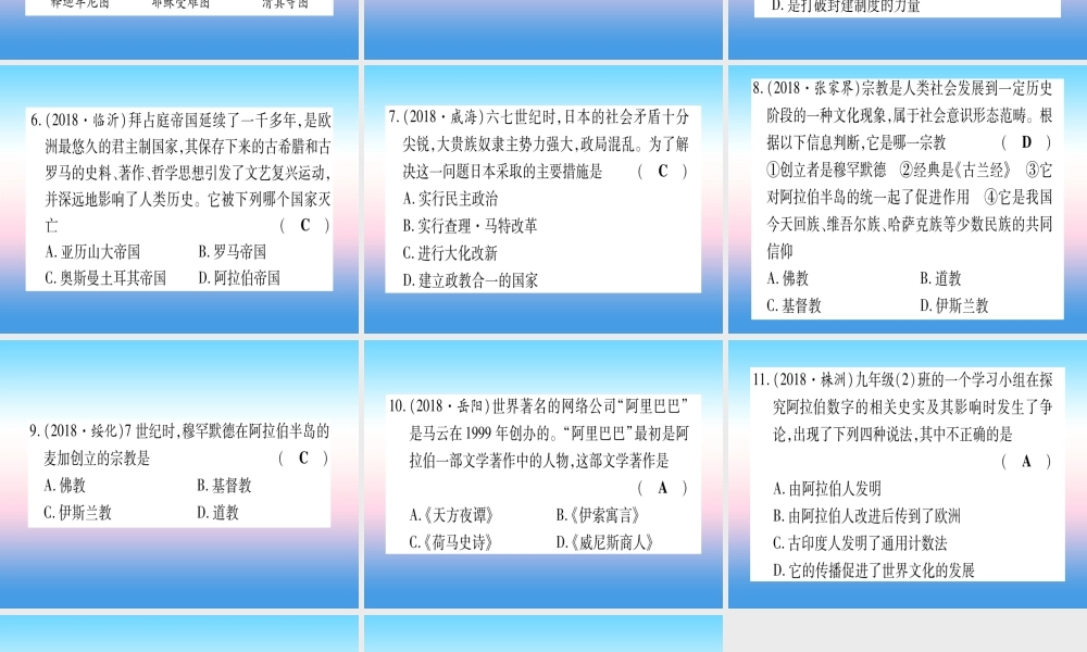 (云南专用)中考历史总复习 第一篇 考点系统复习 板块4 世界古、近代史 主题二 中古时期的欧洲与亚洲(精练)课件