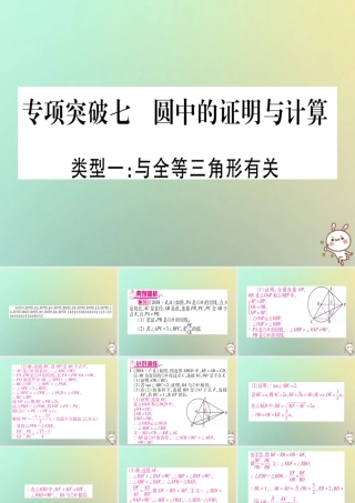 中考数学精选准点备考复习 第二轮 中档题突破 专项突破7 圆中的证明与计算课件 新人教版 课件