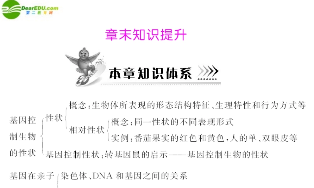 (随堂优化训练)八年级生物下册 第七单元 第二章 章末知识提升 配套课件 人教新课标版 课件