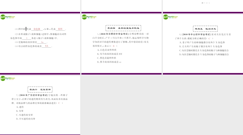(随堂优化训练)八年级生物下册 第七单元 第二章 章末知识提升 配套课件 人教新课标版 课件